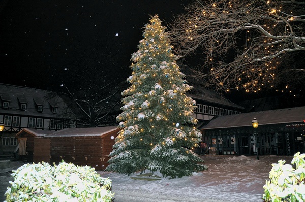 Weihnachtszeit   0051.jpg